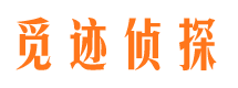 崇川市侦探调查公司